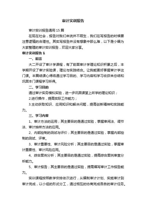 审计实训报告