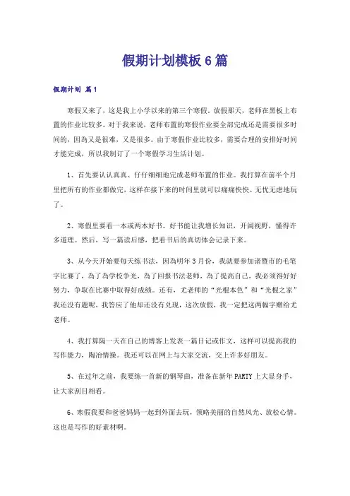 假期计划模板6篇