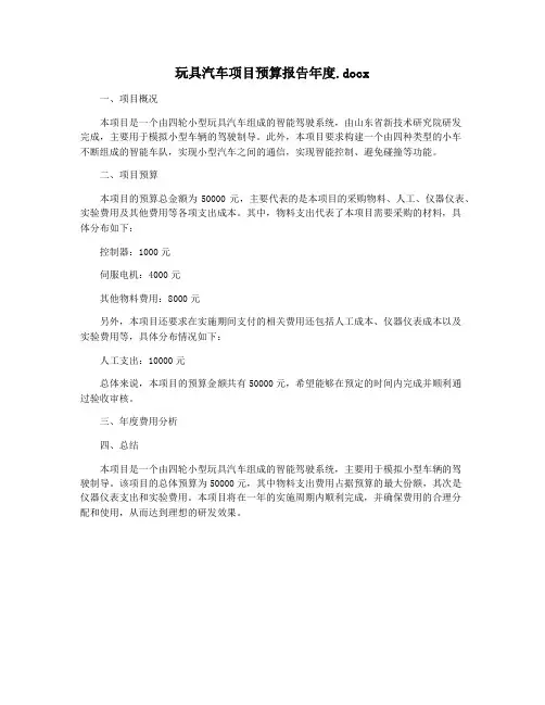 玩具汽车项目预算报告年度.docx