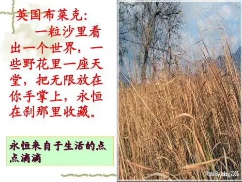 细节描写