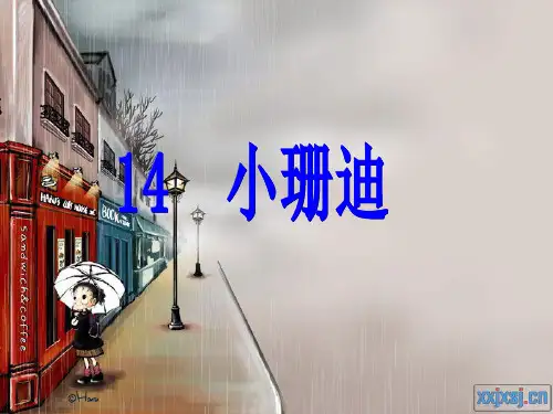 小珊迪ppt课件