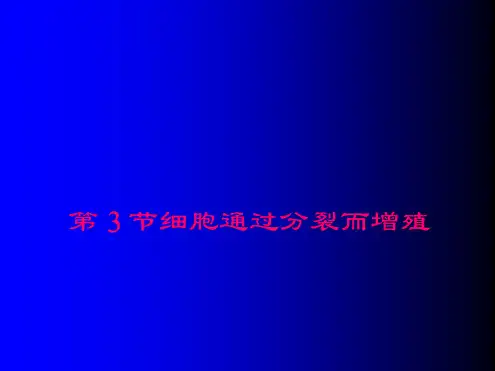 细胞通过分裂而增殖课件