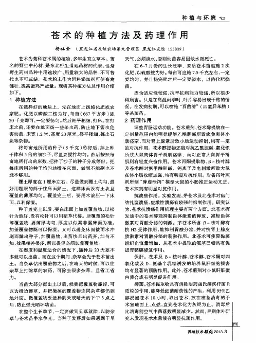 苍术的种植方法及药理作用