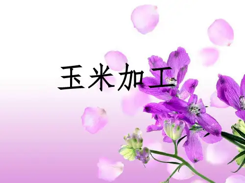 玉米加工PPT课件