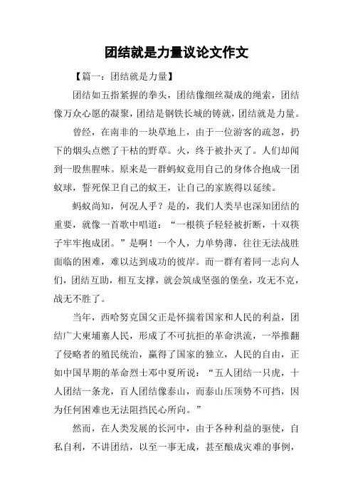 团结就是力量议论文作文