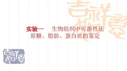 高中生物课件2.1检测生组织中的糖类脂肪和蛋白质课件新课标人教版_必修1 