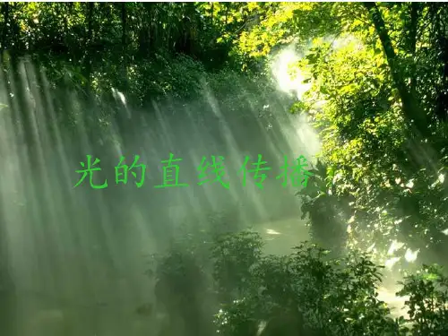 新人教版八年级物理上册4.1 光的直线传播 优质课课件(共20张PPT)