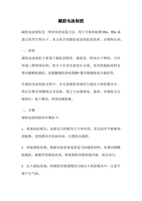 凝胶电泳制胶