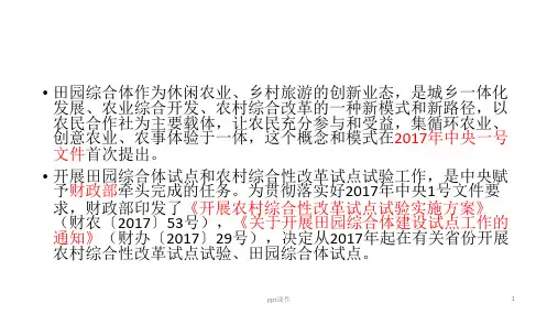 田园综合体体  ppt课件