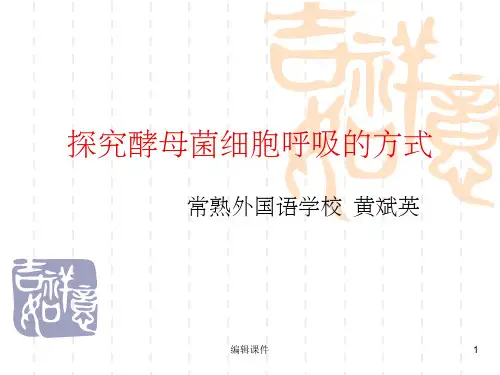 人教版教学课件探究酵母菌细胞呼吸的方式