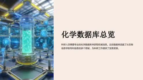化学研究的宝库：精选数据库指南