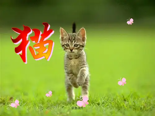 (可直接使用)人教版四年级语文上册《猫》老舍.ppt