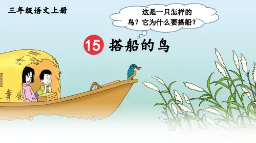 部编版三年级语文上册第15课《搭船的鸟》优质课件【最新】