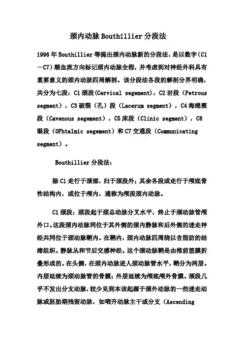 颈内动脉Bouthillier分段法