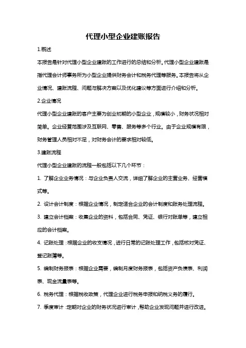 代理小型企业建账报告