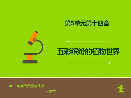 《五彩缤纷的植物世界》教学课件