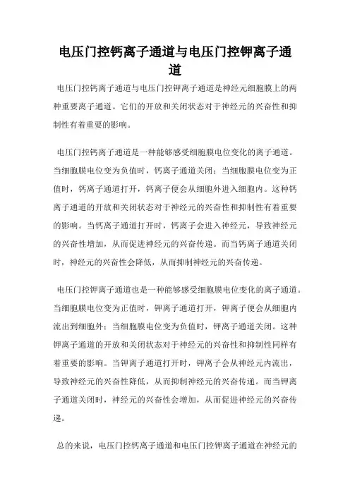 电压门控钙离子通道与电压门控钾离子通道