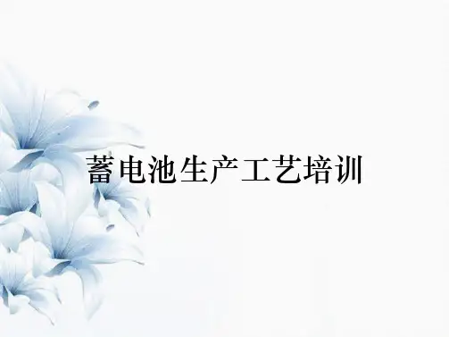 蓄电池生产工艺培训