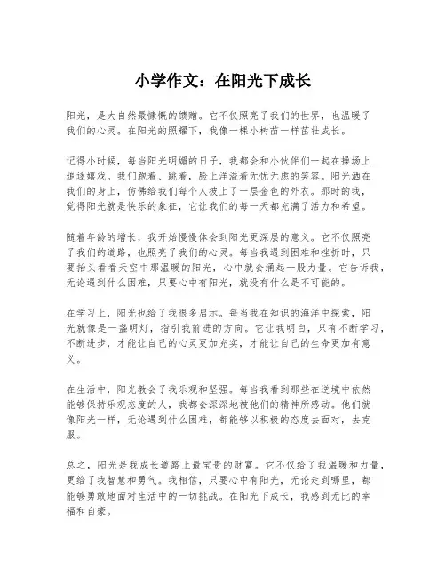 小学作文：在阳光下成长