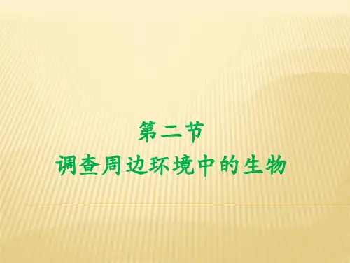 人教版初中生物七年级上册第一单元 第一章 第二节 调查周边环境中的生物 课件(共17张PPT)