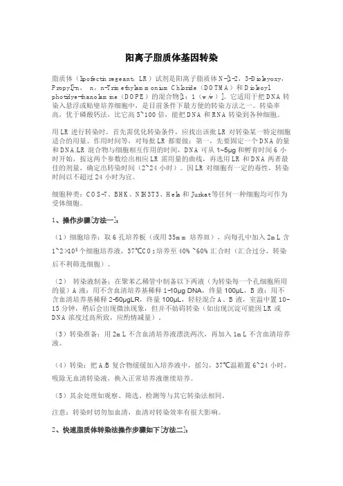 阳离子脂质体基因转染