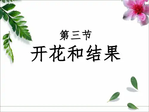 《开花和结果》部编版道德与法治优秀-PPT