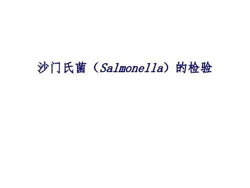沙门菌的检验技术