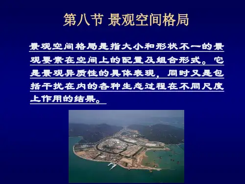 06E第四章 景观结构—景观空间格局