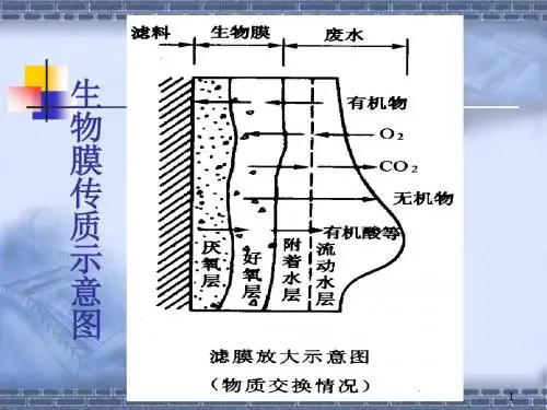 生物膜法