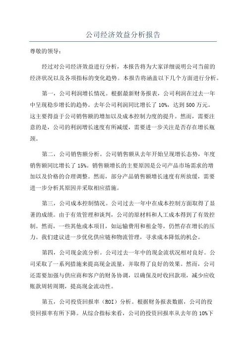 公司经济效益分析报告