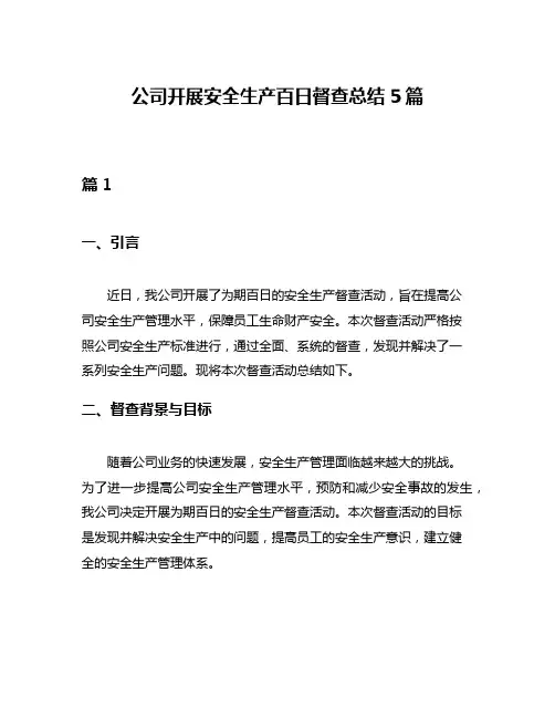 公司开展安全生产百日督查总结5篇