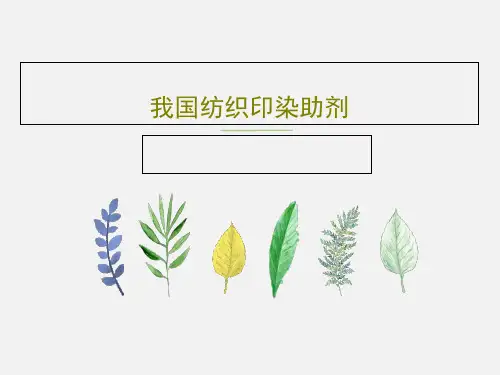 我国纺织印染助剂PPT共24页