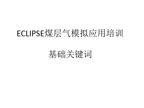 ECLIPSE煤层气模拟基础关键词
