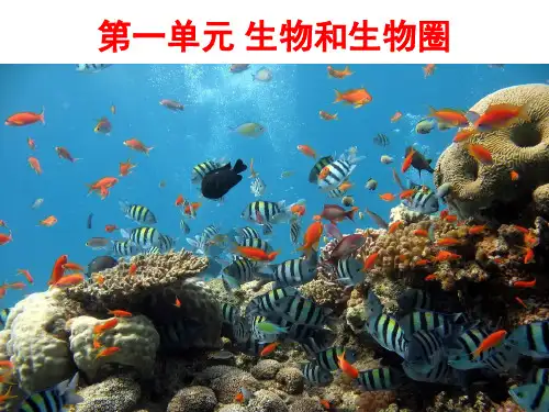 1.1.1 生物的特征 课件 人教版七年级上册生物(共30张PPT)
