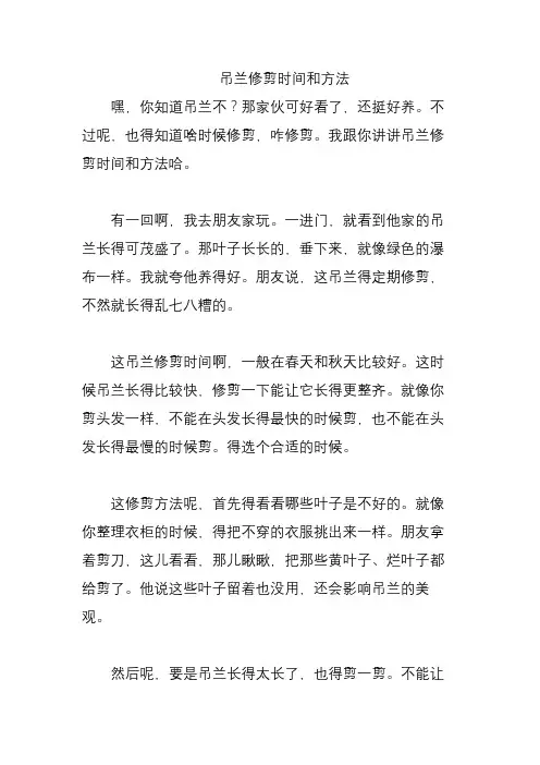 吊兰修剪时间和方法