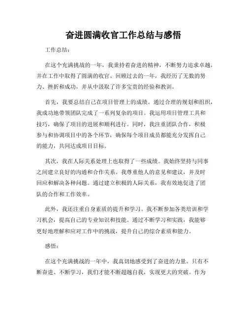奋进圆满收官工作总结与感悟