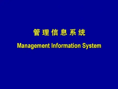 MIS讲义(第9章)-新书版