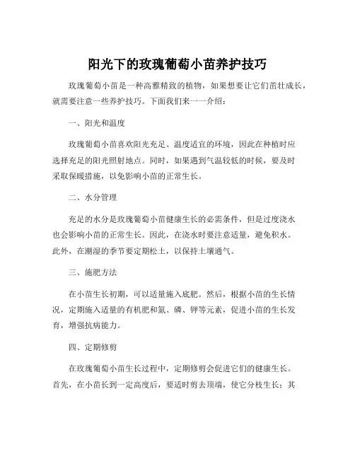 阳光玫瑰葡萄小苗肥水管理技术