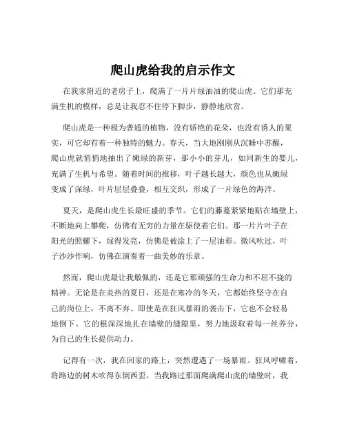 爬山虎给我的启示作文