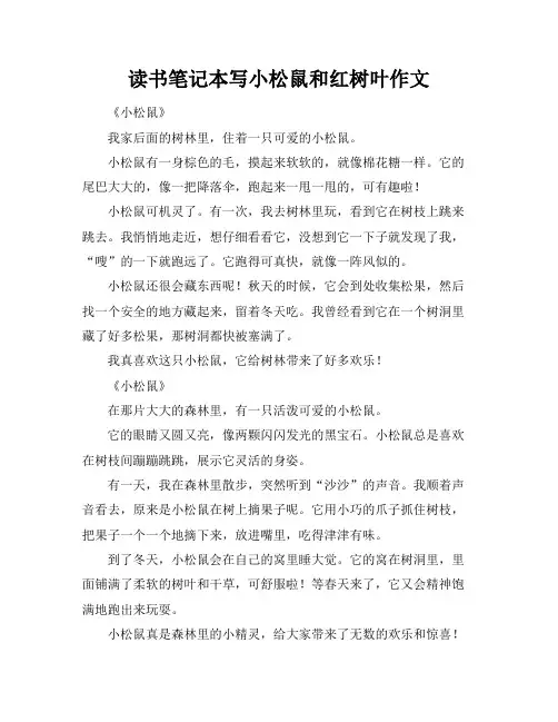 读书笔记本写小松鼠和红树叶作文