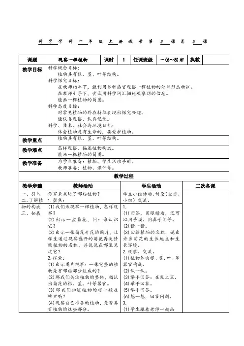 教科版一年级科学上册《观察一棵植物》教案 2