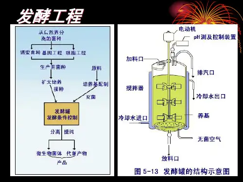 第五章 发酵罐