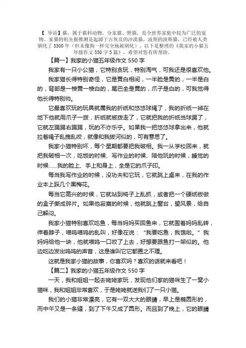 我家的小猫五年级作文550字5篇
