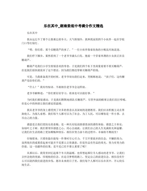 乐在其中_湖南娄底中考满分作文精选