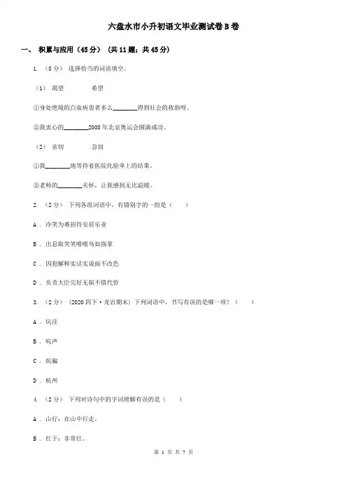 六盘水市小升初语文毕业测试卷B卷
