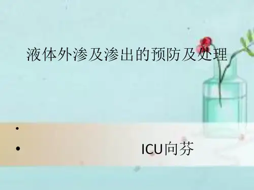 液体外渗的预防及处理 PPT课件
