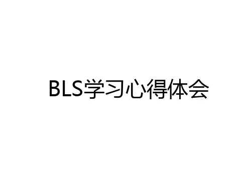 BLS学习心得体会