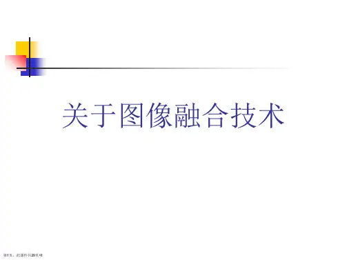 图像融合技术