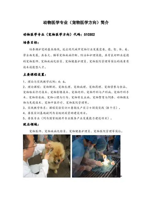 兽医专业(宠物医学与美容方向)简介
