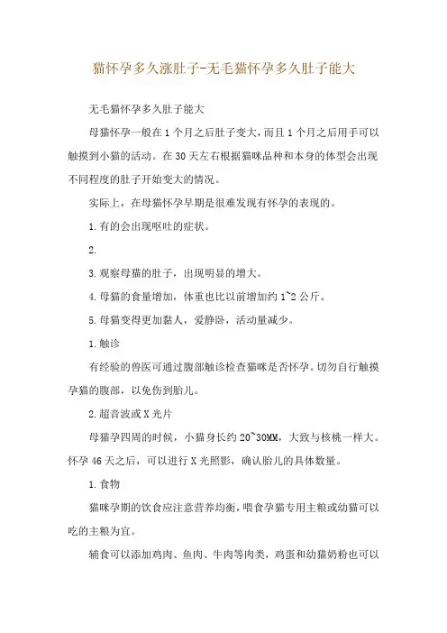 猫怀孕多久涨肚子-无毛猫怀孕多久肚子能大